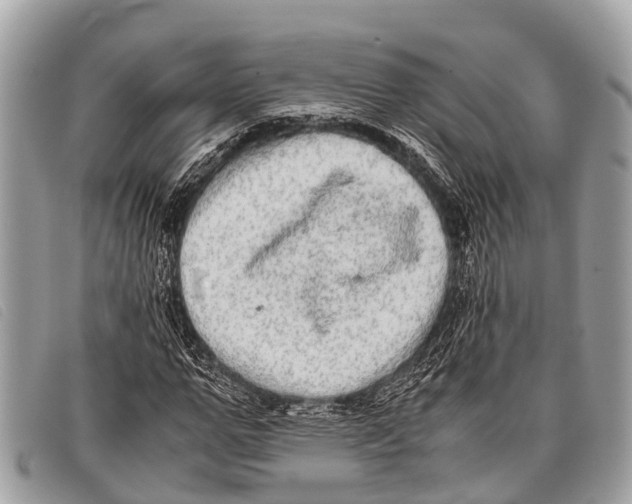 X0000097860967200804111149