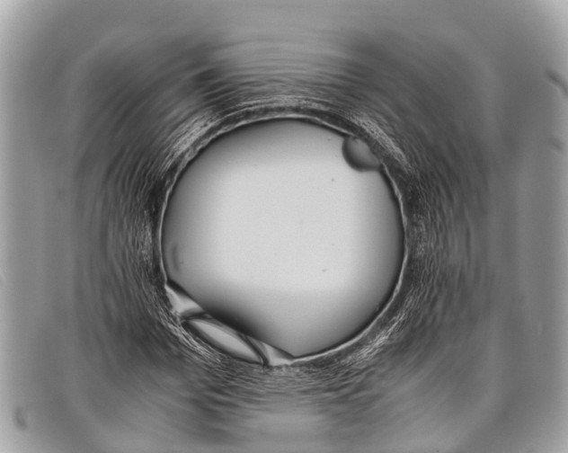 X0000097860969200804111149