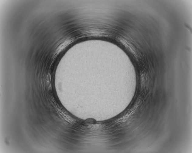 X0000097860970200804111149