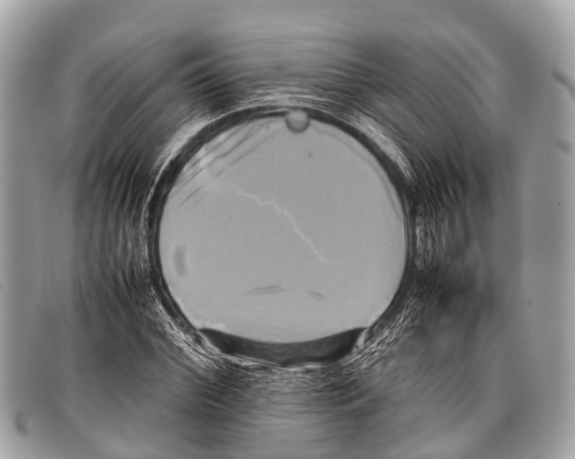 X0000097860972200804111149