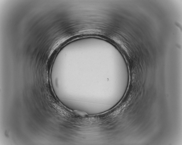 X0000097860973200804111149