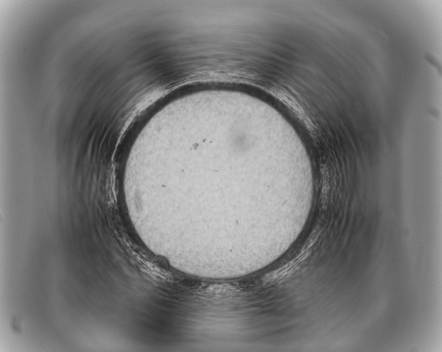 X0000097860974200804111149