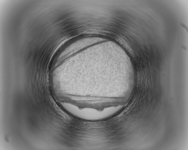 X0000097860976200804111149