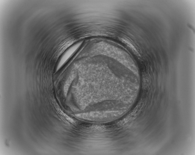 X0000097860977200804111149