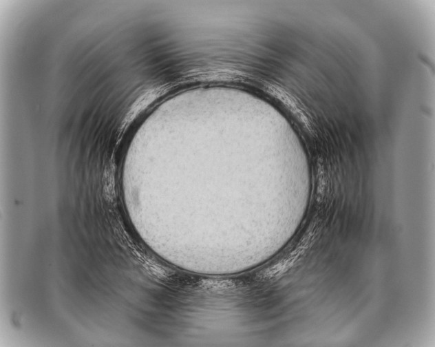 X0000097860978200804111149