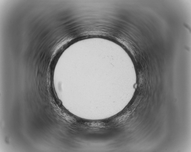 X0000097860979200804111149