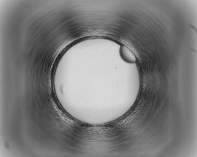 X0000097860980200804111149