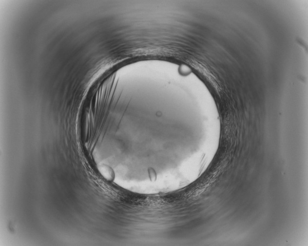 X0000097860983200804111149