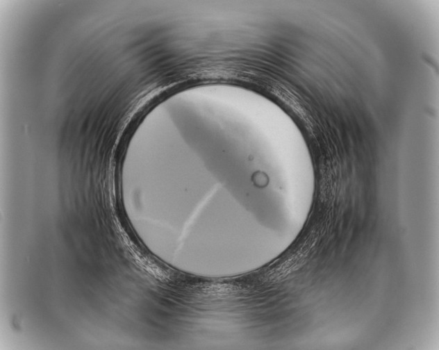 X0000097860984200804111149