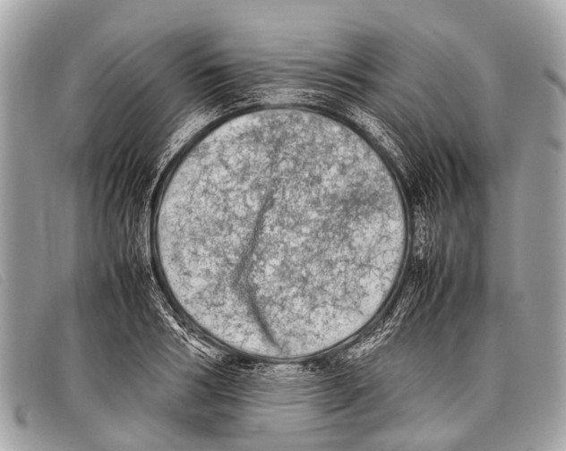 X0000097860986200804111149