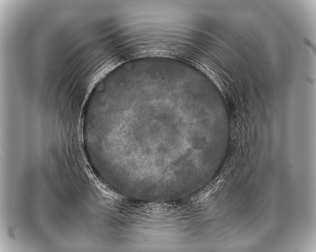 X0000097860987200804111149