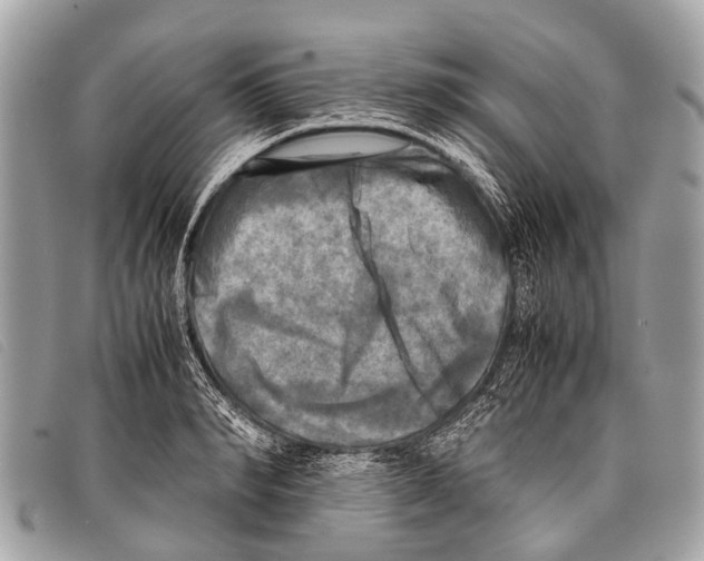 X0000097860990200804111149