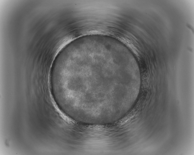 X0000097860991200804111149