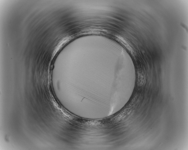 X0000097860994200804111149