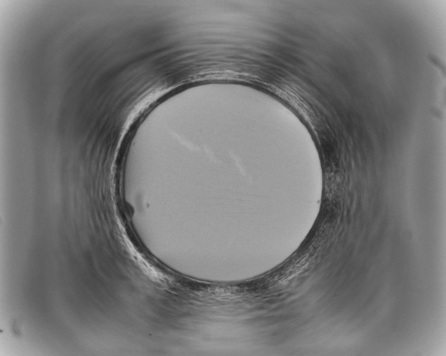 X0000097860995200804111149