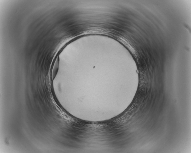 X0000097860996200804111149