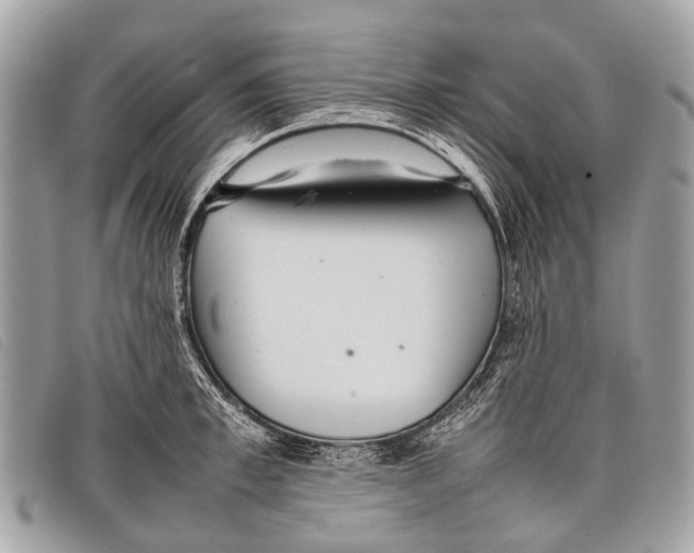 X0000097860997200804111149