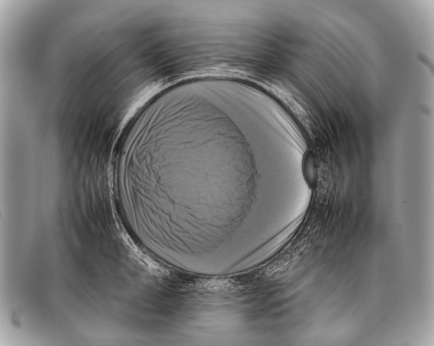 X0000097860998200804111149