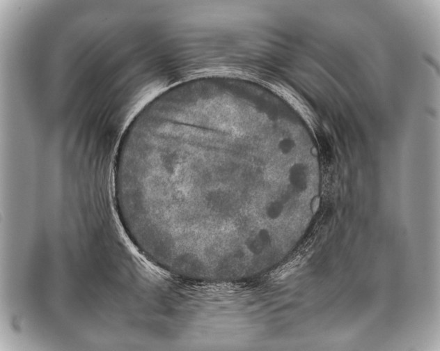 X0000097860999200804111149