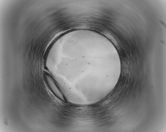 X0000097861000200804111149