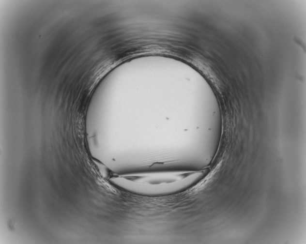 X0000097861001200804111149