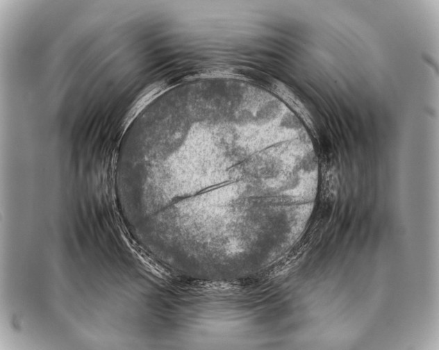 X0000097861002200804111149