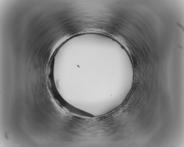 X0000097861003200804111149