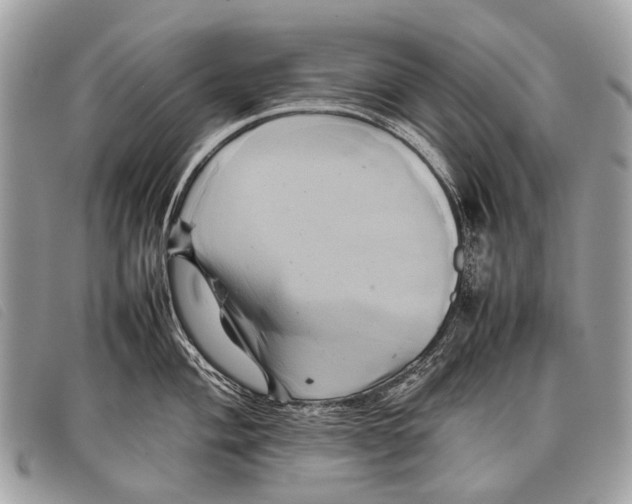 X0000097861004200804111149