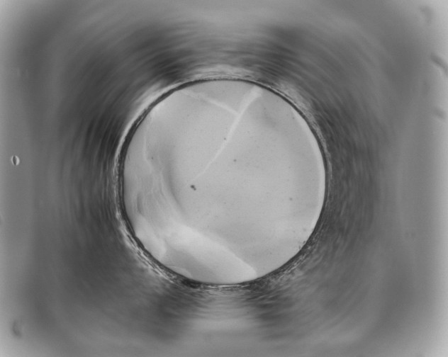 X0000097861008200804111148