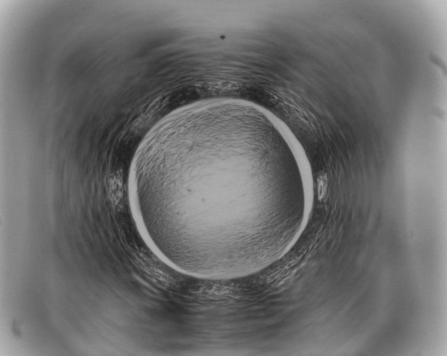 X0000097861011200804111148