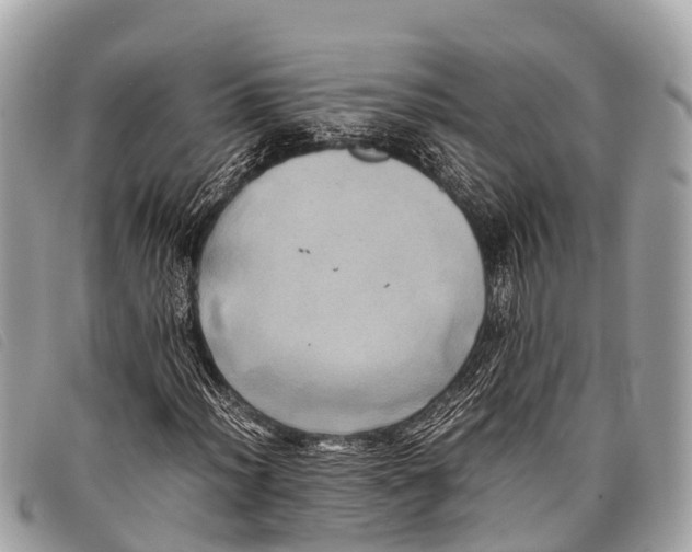 X0000097861012200804111148