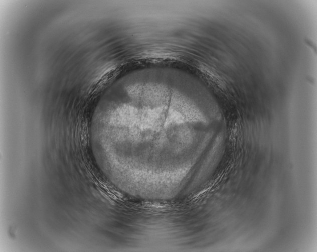 X0000097861014200804111148