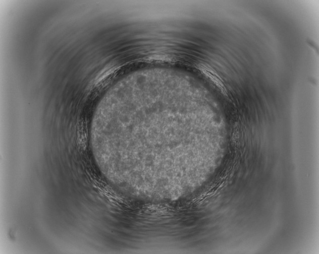 X0000097861015200804111148