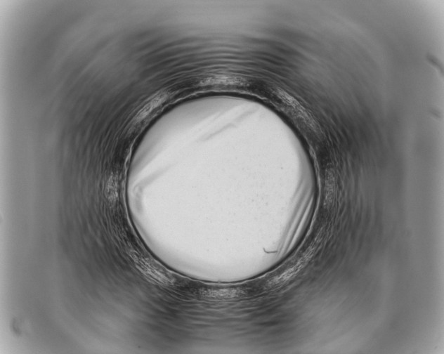 X0000097861017200804111148