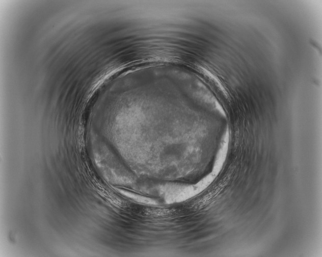 X0000097861019200804111148