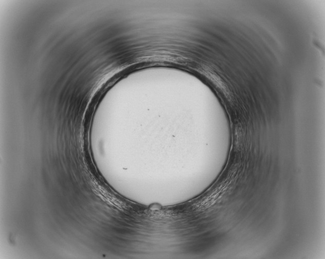 X0000097861020200804111148