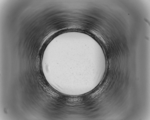 X0000097861021200804111148