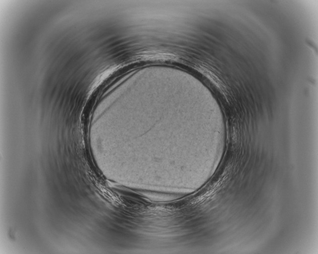 X0000097861022200804111148