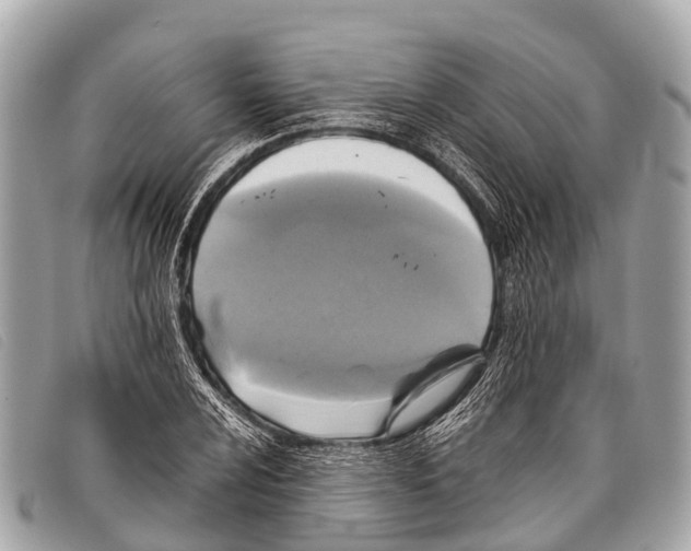 X0000097861024200804111148