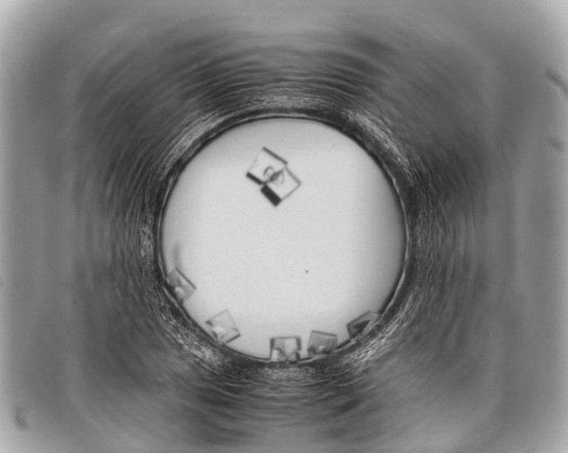 X0000097861025200804111148