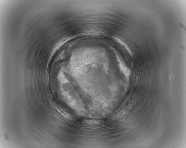 X0000097861027200804111148