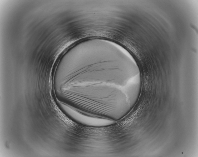 X0000097861028200804111148