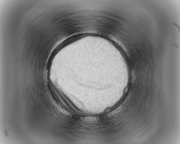 X0000097861029200804111148