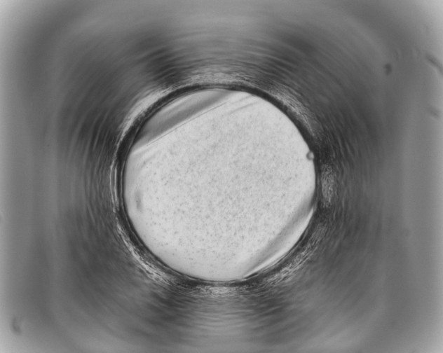 X0000097861030200804111148