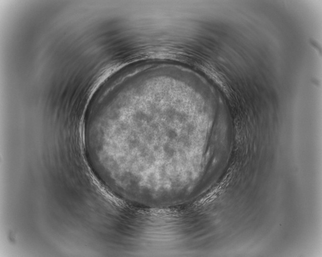 X0000097861032200804111148