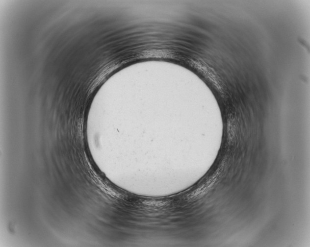 X0000097861033200804111148