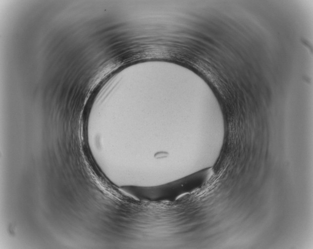 X0000097861034200804111148