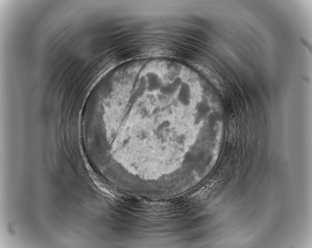 X0000097861039200804111148