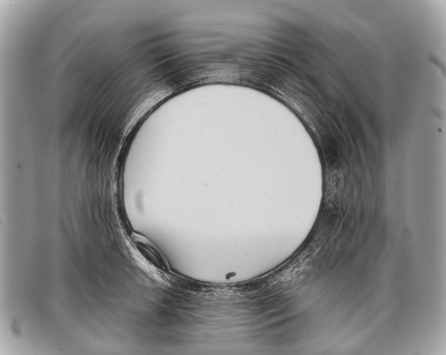 X0000097861042200804111148