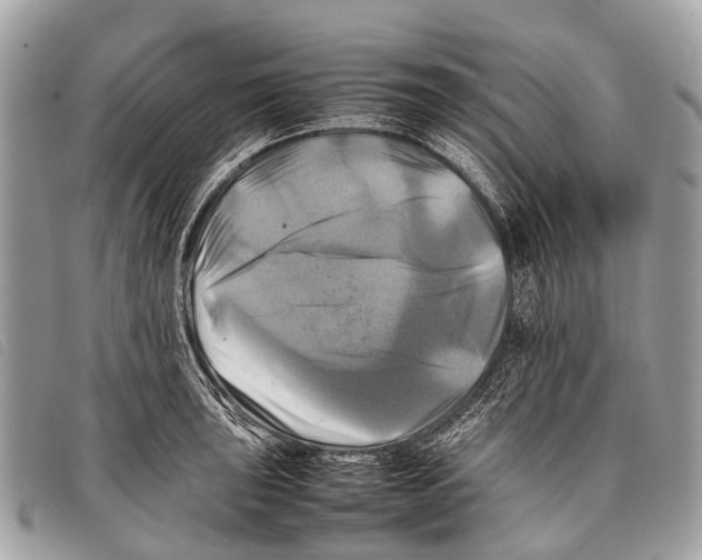 X0000097861043200804111148